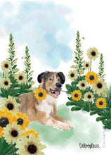Afbeelding in Gallery-weergave laden, Wenskaartjes VelooFleur
