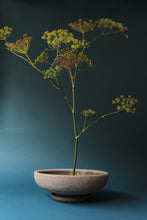 Afbeelding in Gallery-weergave laden, Bergs Potter: Ada Raw Rosa, diam. 30cm
