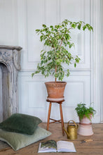 Afbeelding in Gallery-weergave laden, Bergs Potter: Kobenhavner Raw Rosa, diam. 35cm
