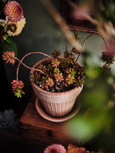 Afbeelding in Gallery-weergave laden, Bergs Potter: Simona Raw Rosa, diam. 18cm
