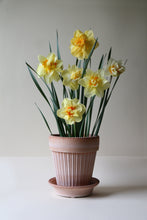 Afbeelding in Gallery-weergave laden, Bergs Potter: Simona Raw Rosa, diam. 18cm
