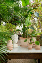 Afbeelding in Gallery-weergave laden, Bergs Potter: Kobenhavner Raw Rosa, diam. 35cm
