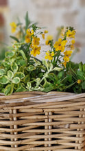 Afbeelding in Gallery-weergave laden, Moederdag  - Mandje zomerkleuren - Afhaling 11.05 !!!
